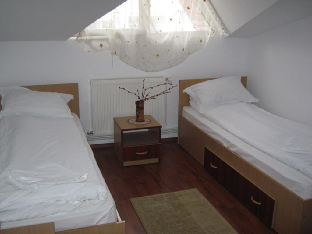 Pensiunea Ramona Tulcea Room photo