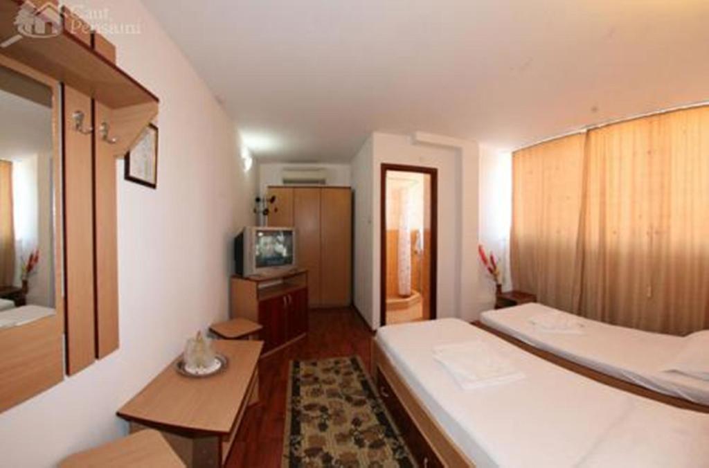 Pensiunea Ramona Tulcea Room photo
